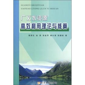 特价现货！ 广义水资源高效利用理论与核算 裴源生 黄河水利出版社 9787807343356