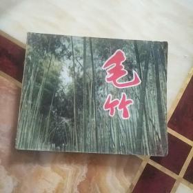 连环画 毛竹