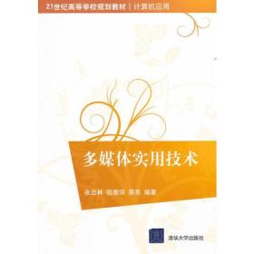 多媒体实用技术（21世纪高等学校规划教材.计算机应用）