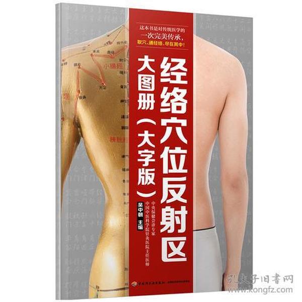 经络穴位反射区大图册（大字版）