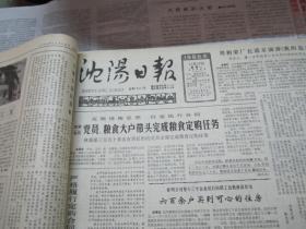 （生日报）沈阳日报1986年11月17日