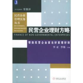 【以此标题为准】民营企业理财方略——民营企业管理实务丛书