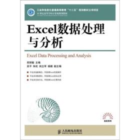 Excel数据处理与分析（本科教材）