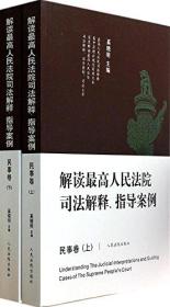 解读最高人民法院司法解释、指导案例民事卷（上下）