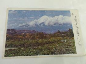 《军事邮便绘图明信片——蜜柑山》