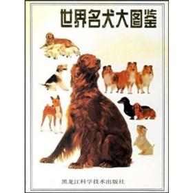 世界名犬大图鉴
