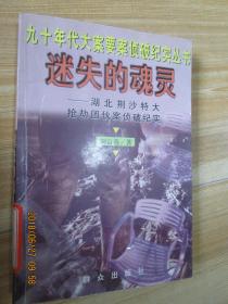 迷失的灵魂：湖北荆沙特大抢劫团伙案侦破纪实