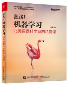 套路！机器学习北美数据科学家的私房课 林荟 电子工业出版社