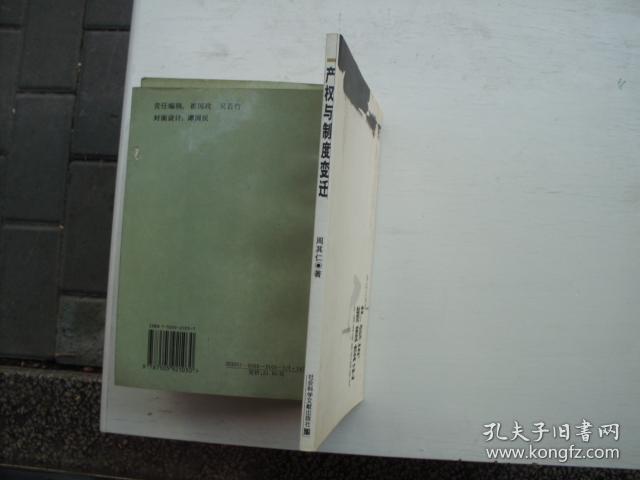 产权与制度变迁：中国改革的经验研究