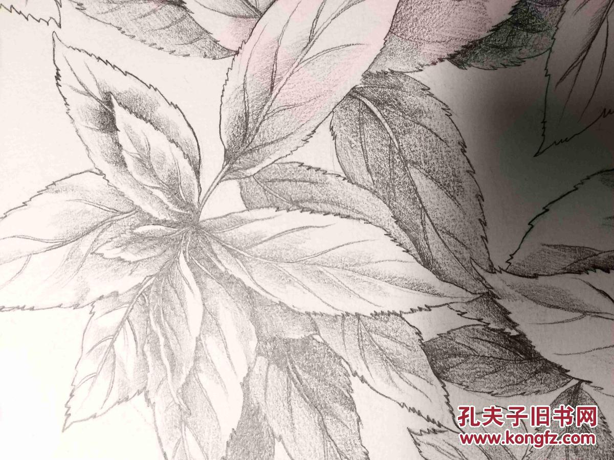 【图】铅笔素描画稿原稿《树叶》,拍品信息,网上拍卖,拍卖图片,拍卖网