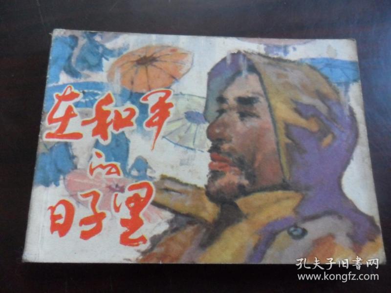 连环画：在和平的日子里