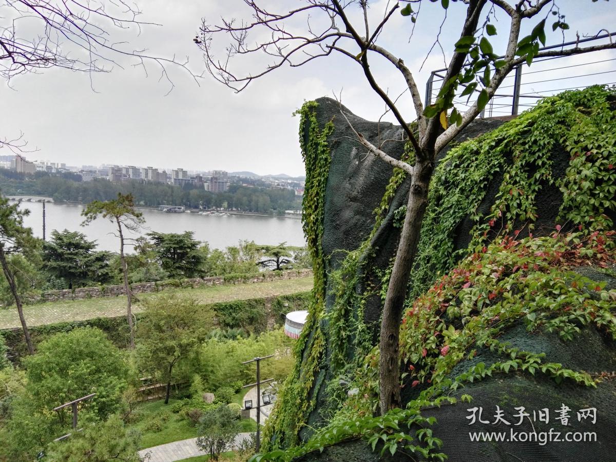 九华山景点,龙首岩.