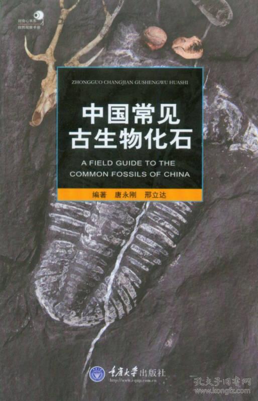中国常见古生物化石
