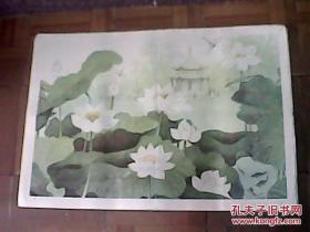 老画家陈初电创作的国画《荷花》（此为对开画，宽76厘米，高52厘米；表现的是荷塘里荷叶青翠欲滴、何花怒放、满塘春色、蜻蜓飞舞荷花之上，更为春意盎然的荷塘增添了浓浓的诗意；印刷品；原为教学挂图）