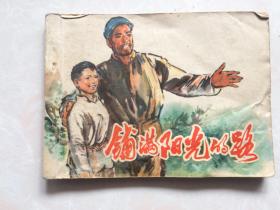 连环画：铺满阳光的路
