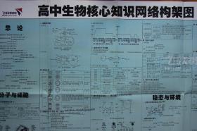 单张价格 飞跃教育-高中生物】化学】核心知识网络构架图>高中物理必考知识网络构架图】赠理综合物理追补讲义