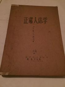 正常人体学 油印