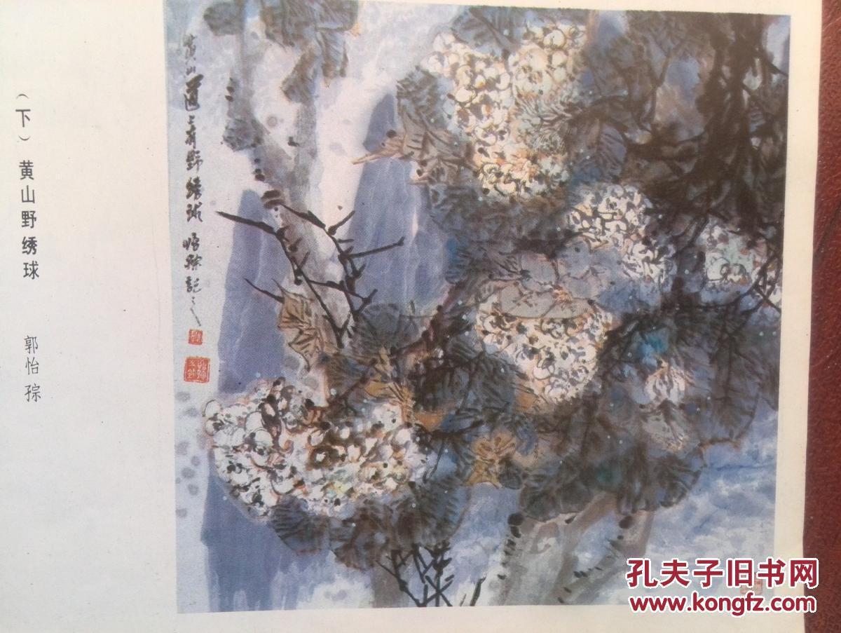 彩版美术插页郭怡琮国画《黄山野绣球》，于希宁国画《梅》《野芋》《花卉》《南国野卉》（单张）