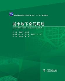 城市地下空间规划/高等院校城市地下空间工程专业“十二五”规划教材