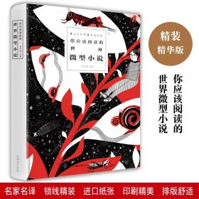 你应该阅读的世界微型小说 小说 青春文学 经典 短篇小说集精选 当代文学书籍