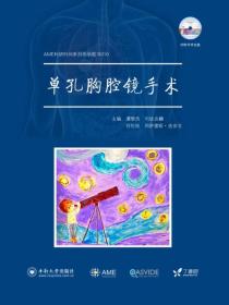 AME科研时间系列医学图书010 单孔胸腔镜手术