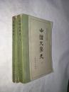 中国文学史（一.三册）