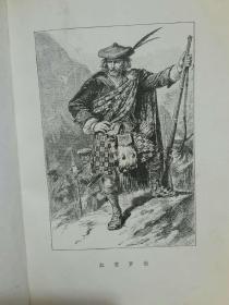 红酋罗伯（10元包邮）