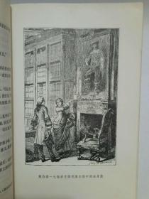 红酋罗伯（10元包邮）