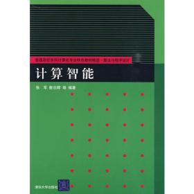 计算智能（普通高校本科计算机专业特色教材精选·算法与程序设计）