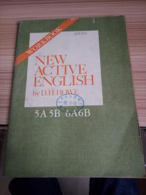 NEW ACTIVE ENGLISH 5A5B 6A6B【16开】