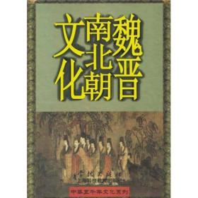 中华五千年文化系列：魏晋南北朝文化