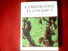 COMPARATIVE ECONOMICS 英文原版《比较经济学》大缺本