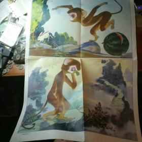 小学课本语文第二册教学图片 小猴子下山（二）