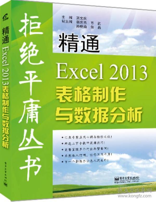 拒绝平庸丛书：精通Excel 2013表格制作与数据分析