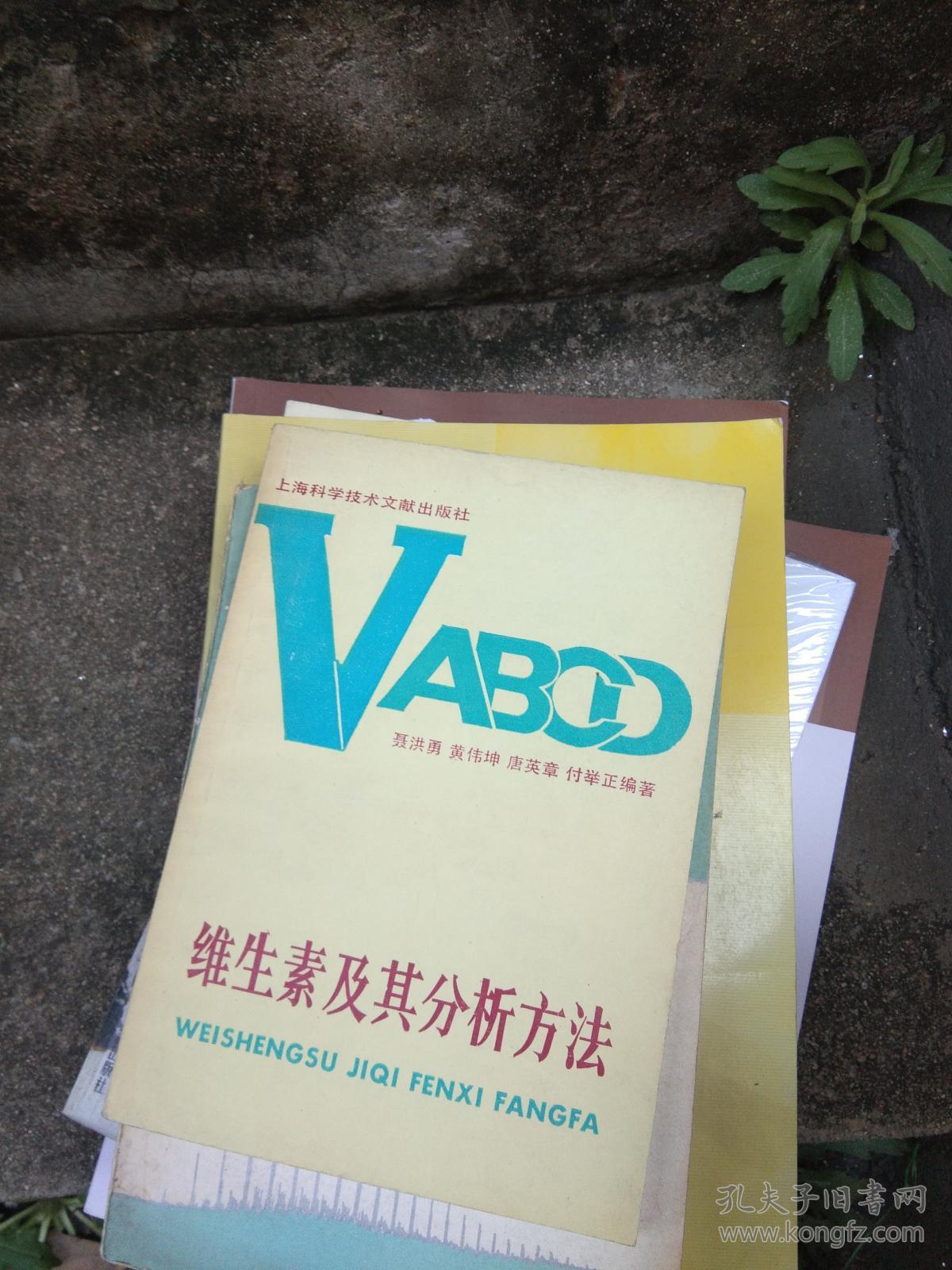 维生素及其分析方法