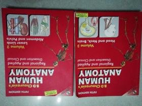 human anatomy （2.3）合售.