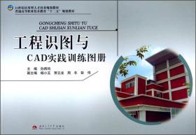 二手工程识图与CAD实践训练图册孙再鸣西南交通大学出97875643262