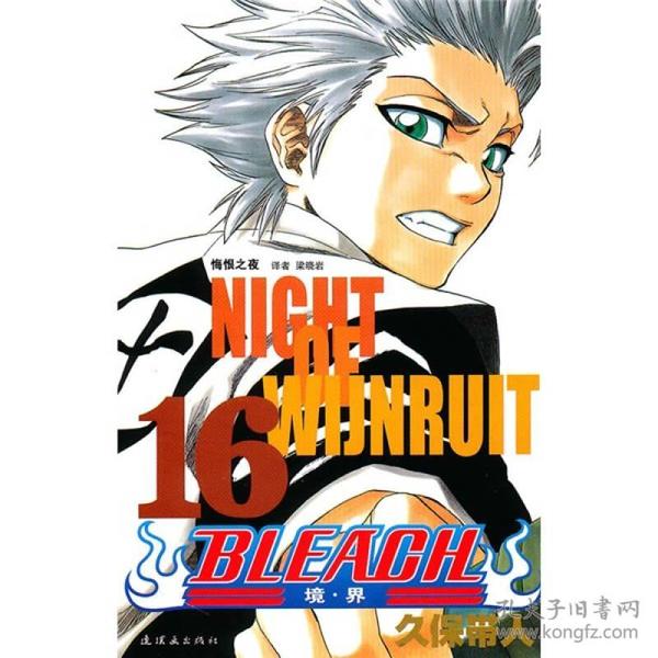 BLEACH 境·界16：悔恨之夜