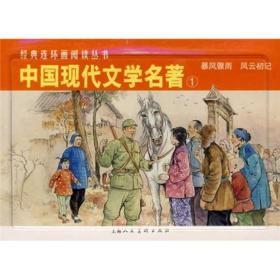 经典连环画阅读丛书：中国现代文学名著1（全2册） 小人书