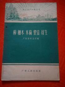 樟 柚木 木荷 黎索 母生