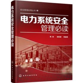 安全管理实用丛书:电力系统安全管理必读
