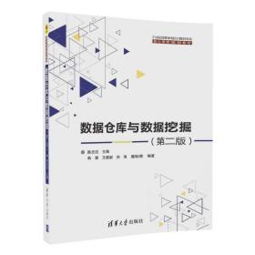 数据仓库与数据挖掘（第二版）/21世纪高等学校计算机专业核心课程规划教材