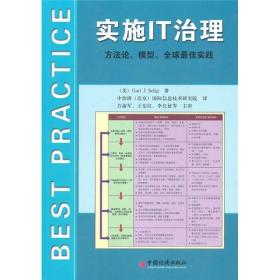 实施IT治理：方法论、模型、全球最佳实践