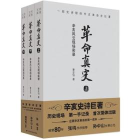 革命真史：辛亥风云现场实录