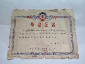 1965年 毕业证书