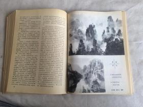 新湘评论（1981年1---12期）