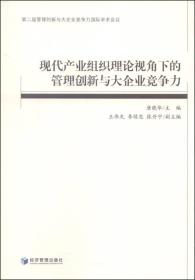 现代产业组织理论视角下的管理创新与大企业竞争力