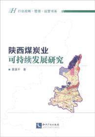 行业战略·管理·运营书系 陕西煤炭业可持续发展研究