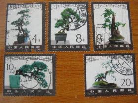 T61 盆景 信销邮票6-1-2-3-4-5