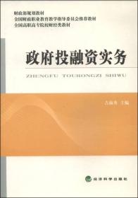 政府投融资实务/财政部规划教材·全国财政职业教育教学指导委员会推荐教材·全国高职高专院校财经类教材